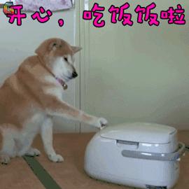 DƬ